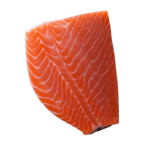 Atlantic salmon fish