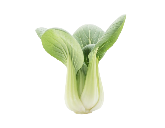Baby Bok Choy