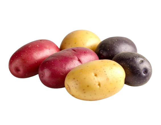 Baby Potato