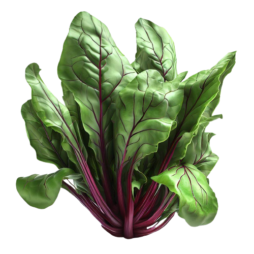 Beet Greens