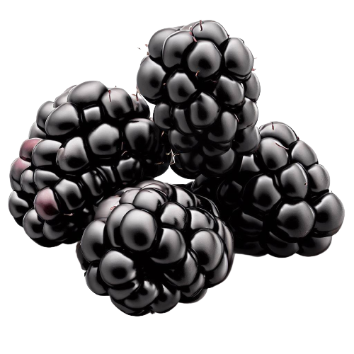 Blackberries