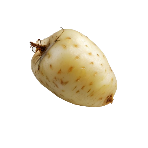 Boiled Potato