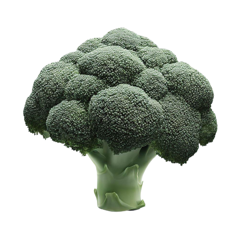 Broccoli