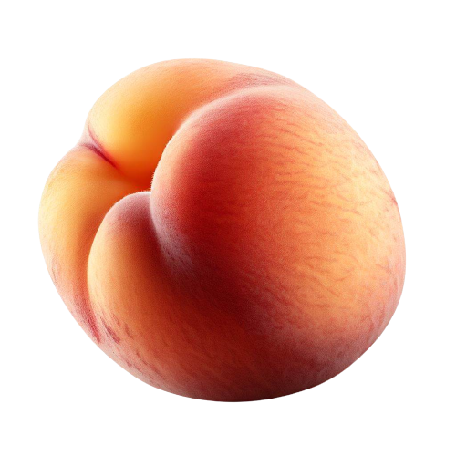 Canned Apricot