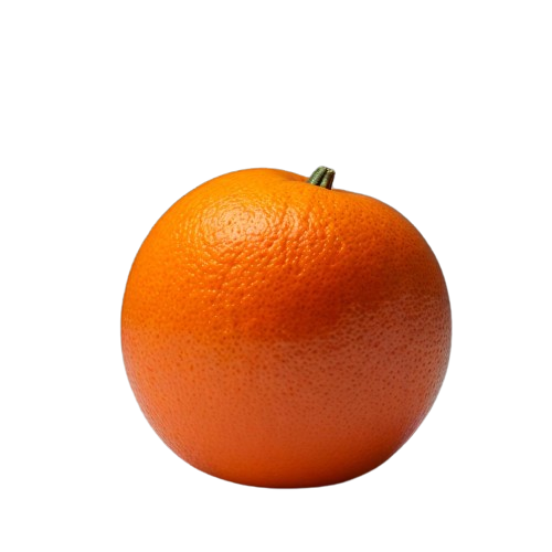 Canned Orange