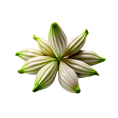 Cardamom