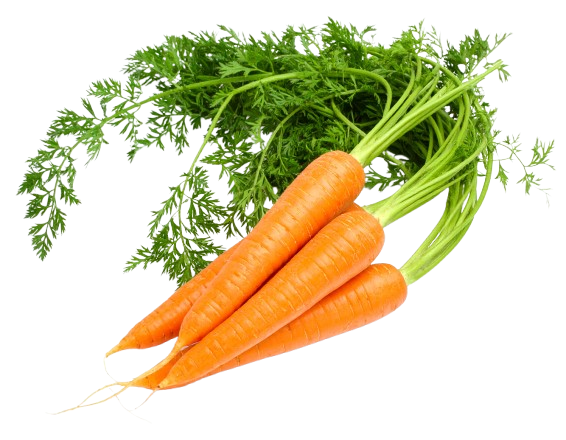 Carrot Tops