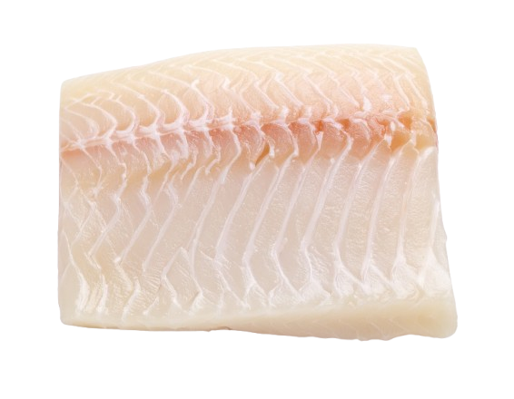 Cod Fish