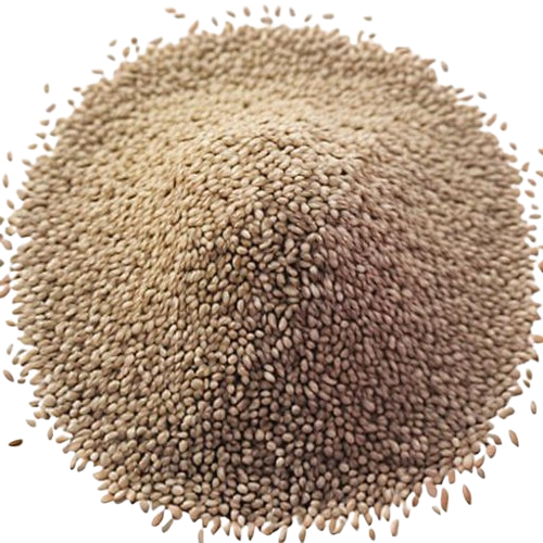Cumin Seed