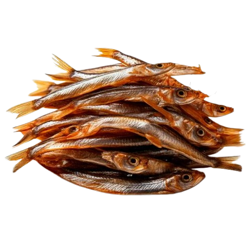 Dried Anchovies