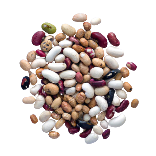 Dry Light Red Kidney Bean