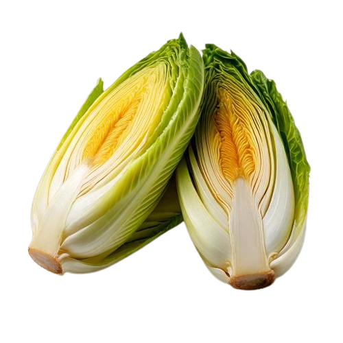 Endive