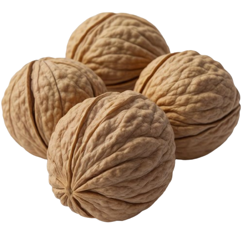 English walnuts