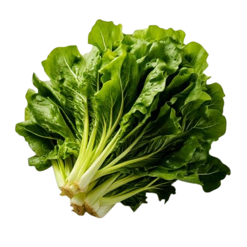 Escarole