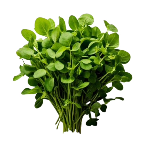 Fenugreek Leaves