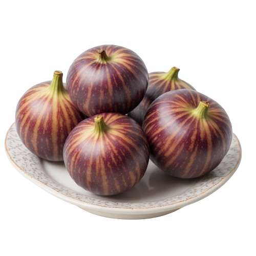 Fig