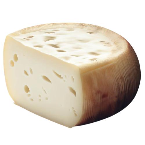 Fontina Cheese