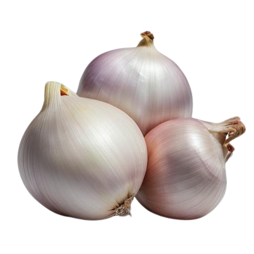Freeze-dried shallots