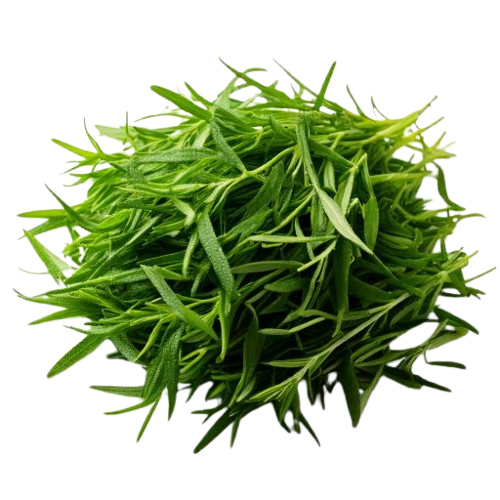 Fresh Tarragon