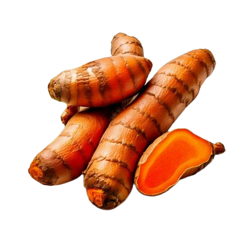 Fresh Tumeric Root