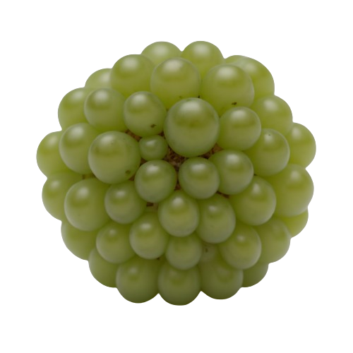Green seedless grapes