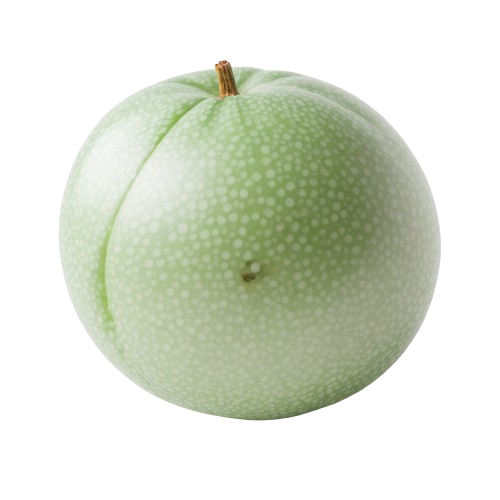 Honeydew melon