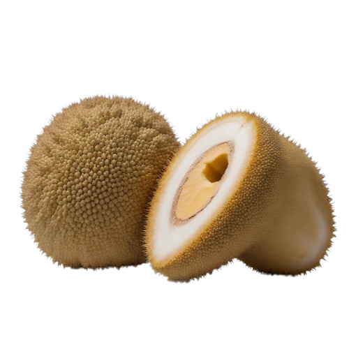 Jackfruit
