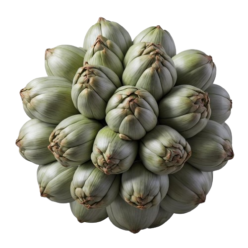 Jerusalem-artichokes