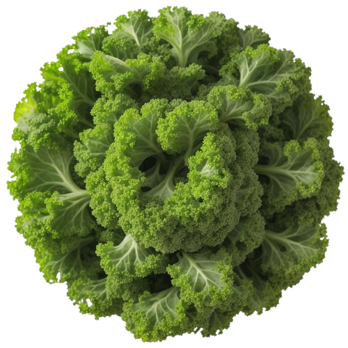 Kale