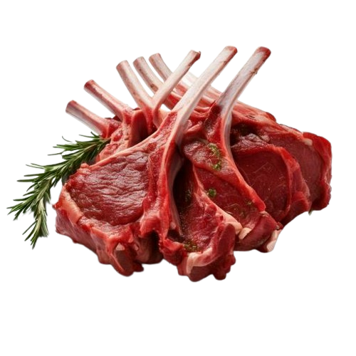 Lamb