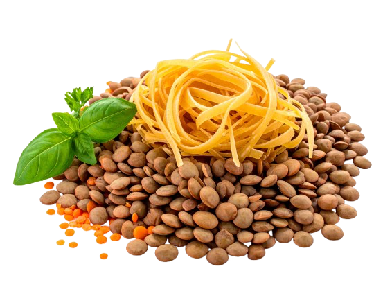 Lentil pasta