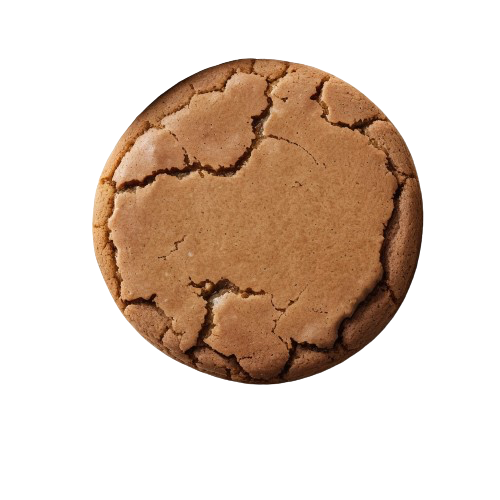 Molasses cookie