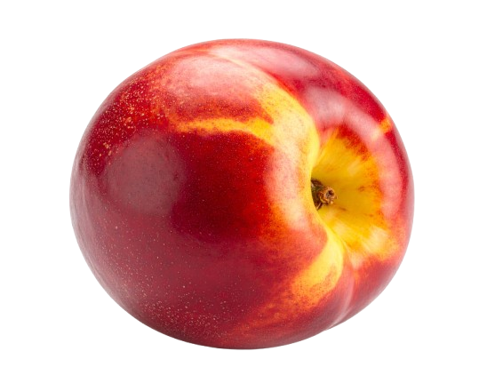 Nectarine
