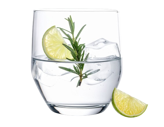 Non alcoholic gin