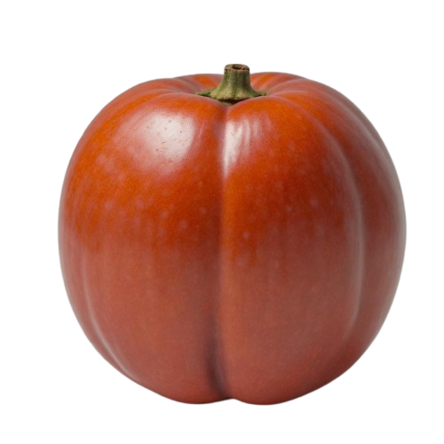 Persimmon