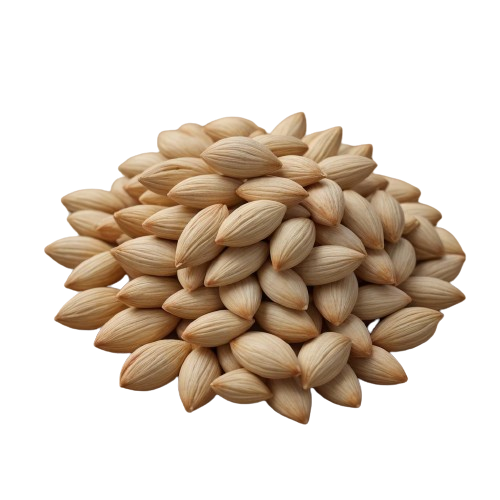 Pine nuts