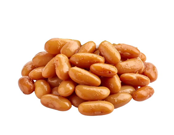 Pinto beans