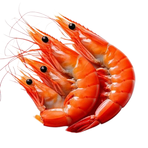 Prawns