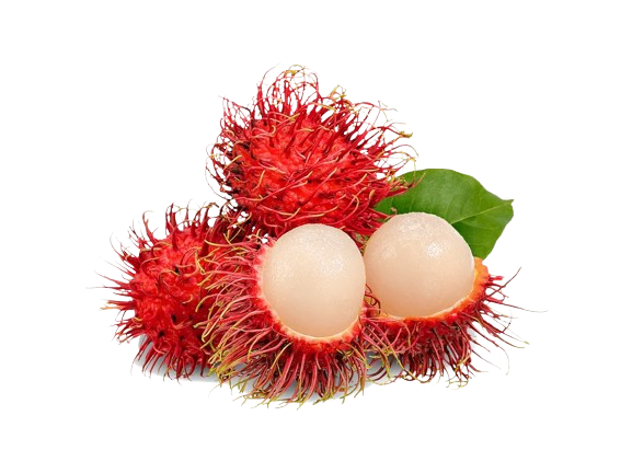 Rambutan