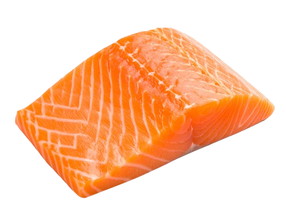 Salmon