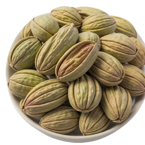 Salted pistachio nuts