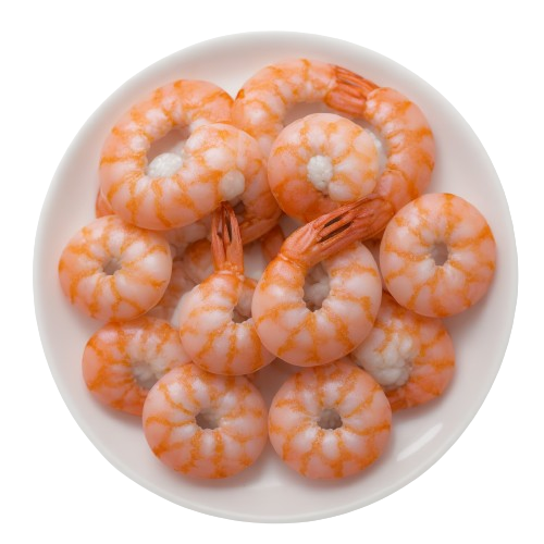 Shrimp