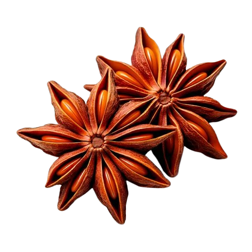 Star Anise