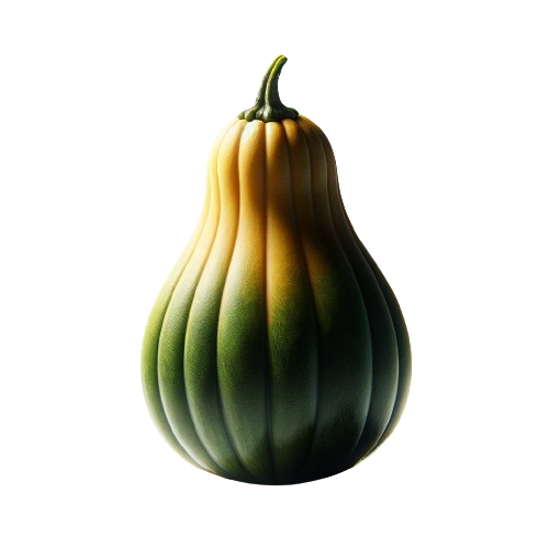 Summer squash