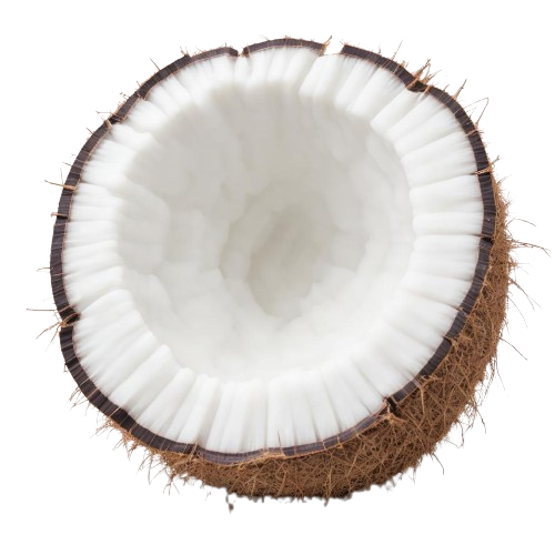 Sweetened, shredded dried coconut
