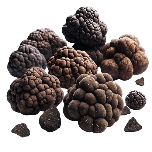 Truffles
