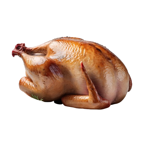 Turkey breast