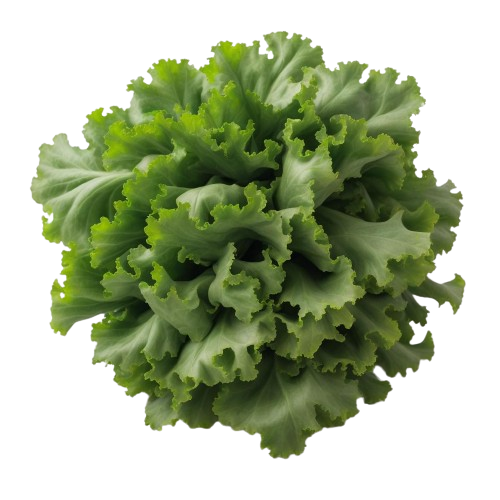 Turnip greens
