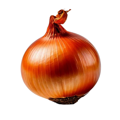 Vidalia onion