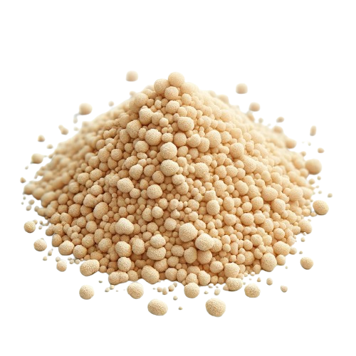 Yeast